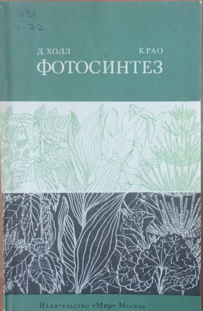 Фотосинтез