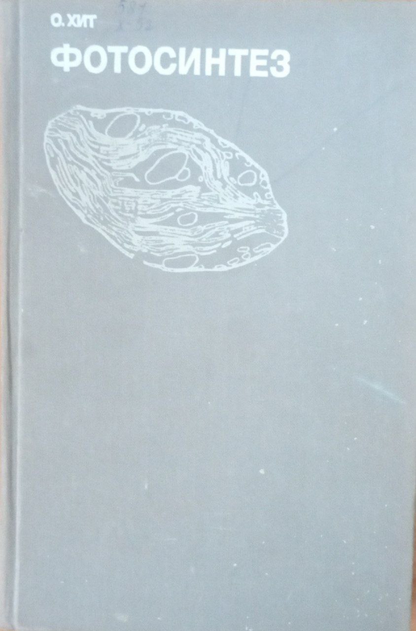 Фотосинтез