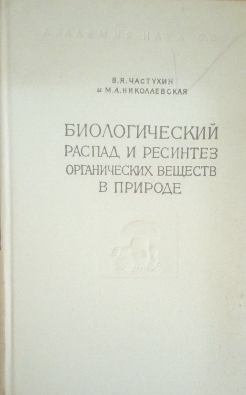 Биологические распад и ресинтез органических веществ в природе