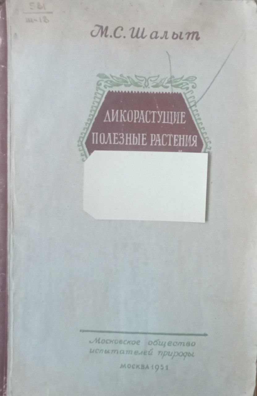 Дикорастущие полезные растения