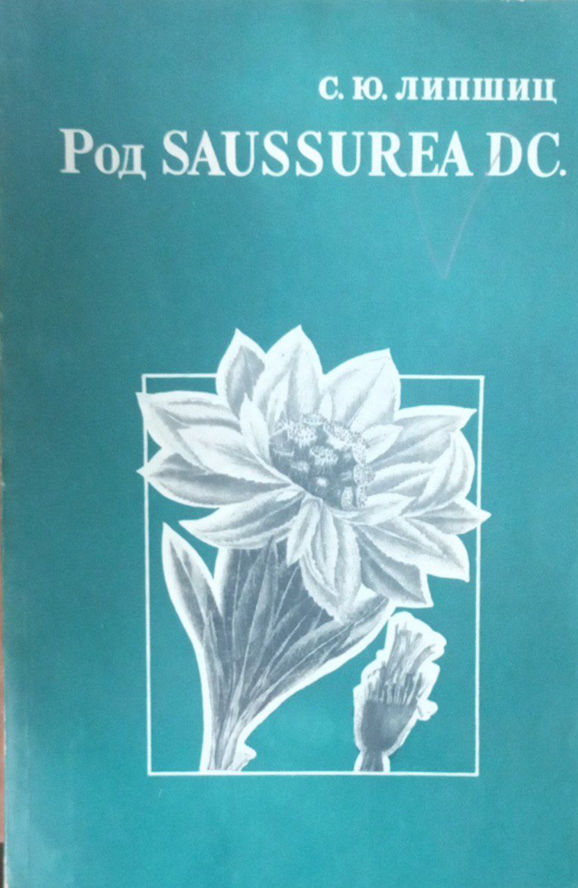 Род Saussurea DC