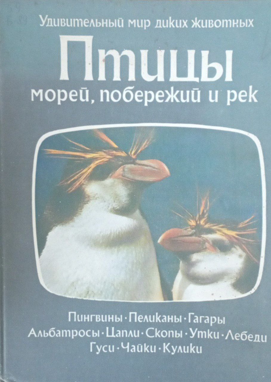 Птицы морей, побережий и рек