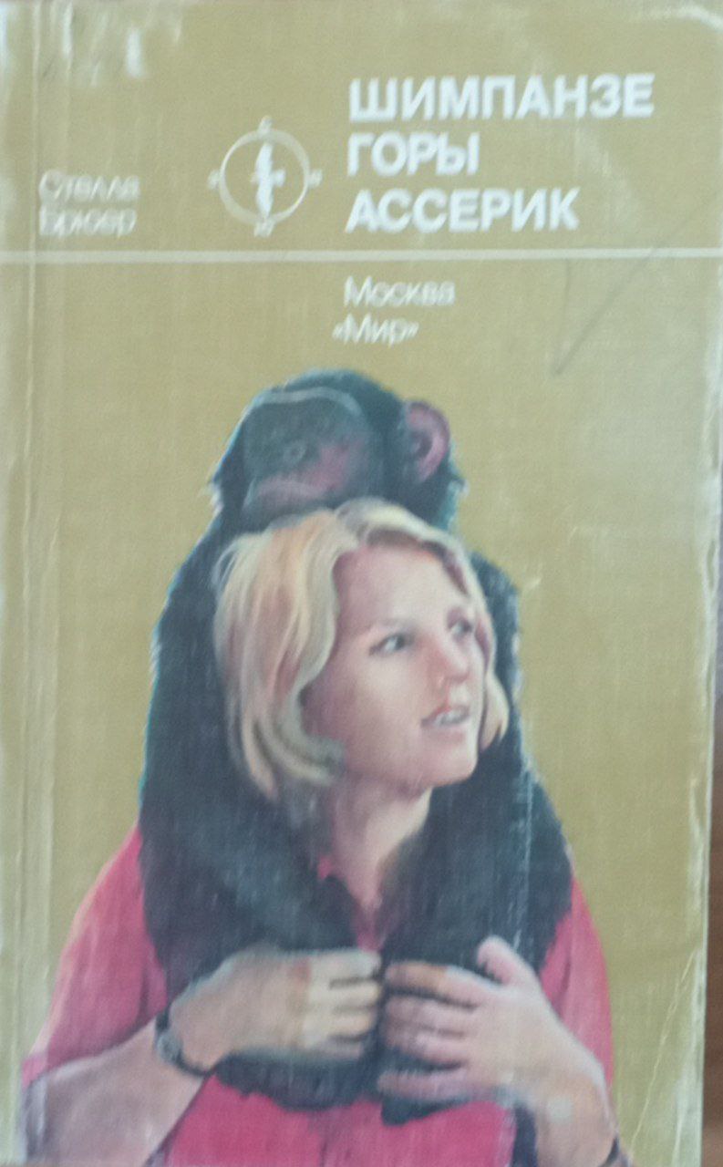 Шимпанзе горы Ассерик