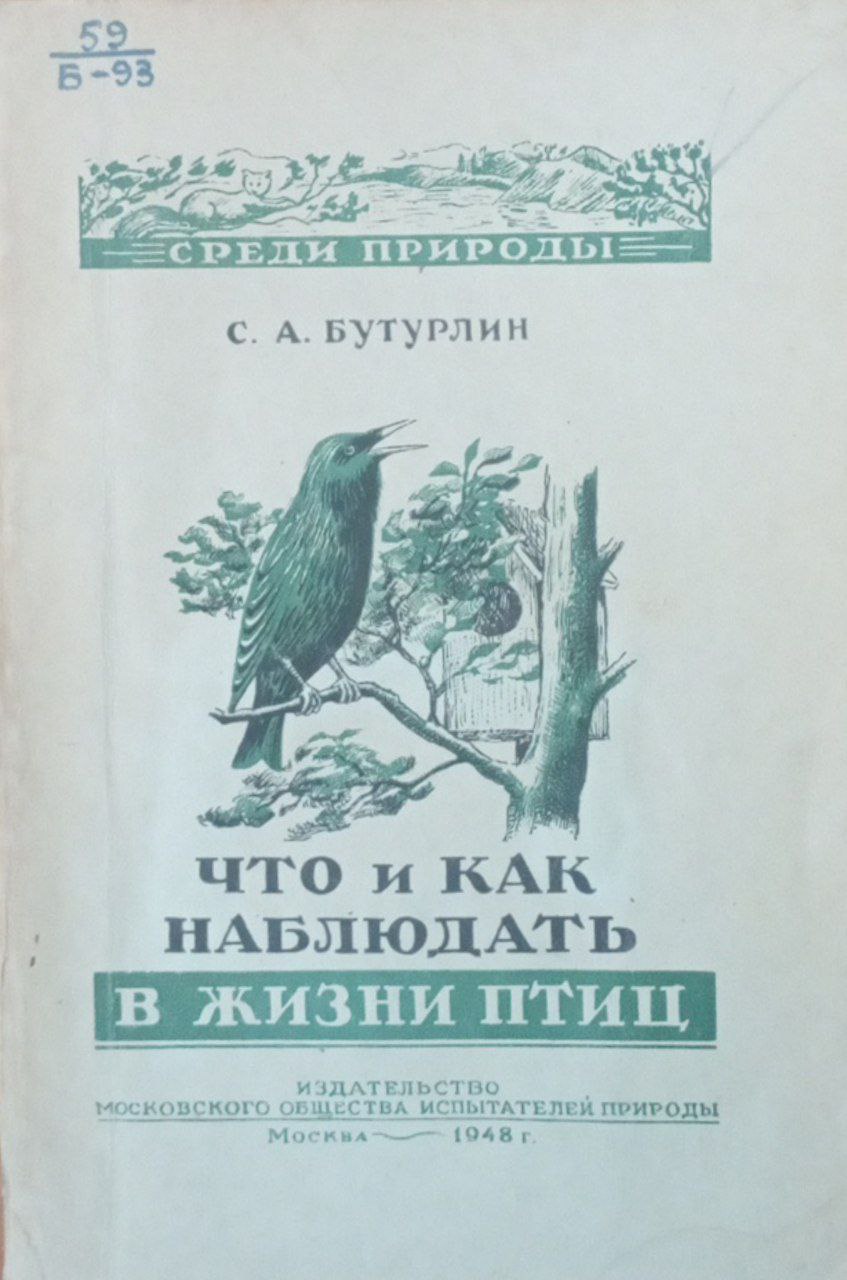 Что и как наблюдать в жизни птиц