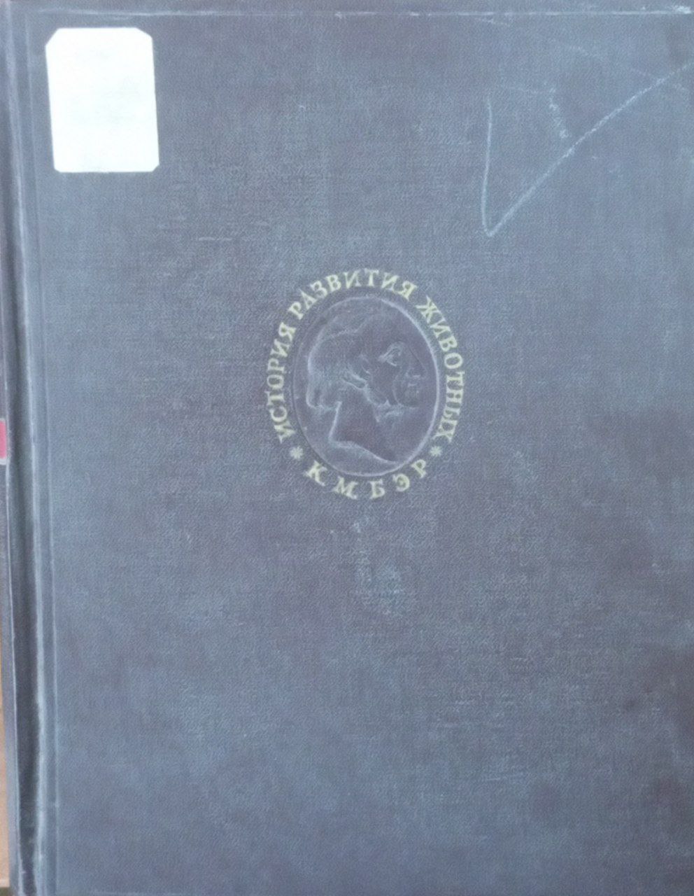 История развития животных