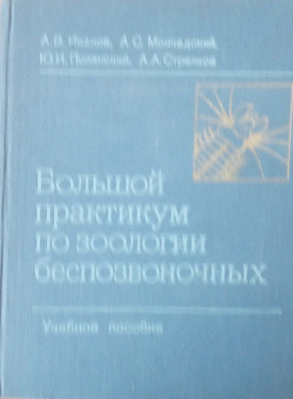 Большой практикум по зоологии беспозвоночных