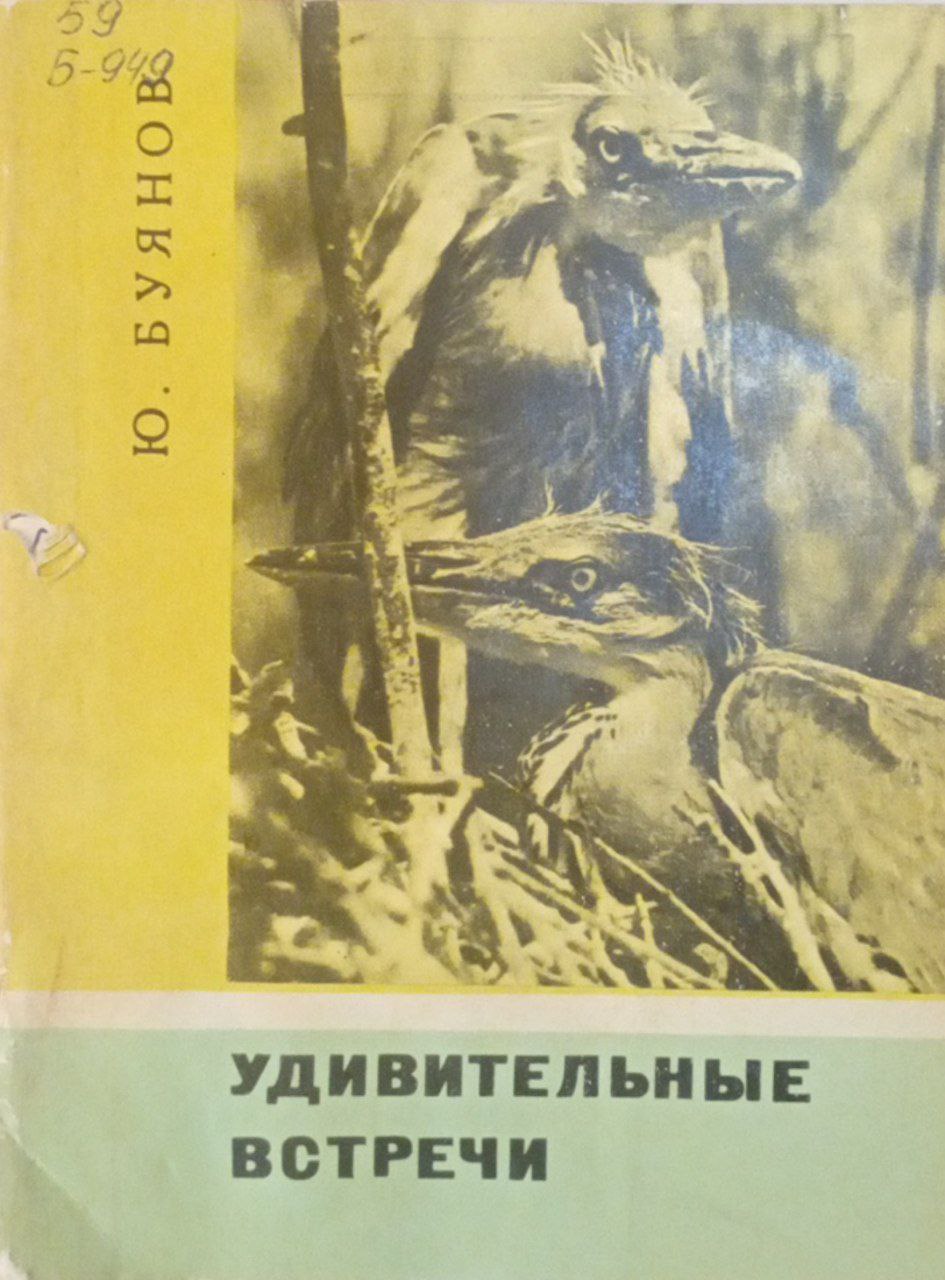 Удивительные встречи