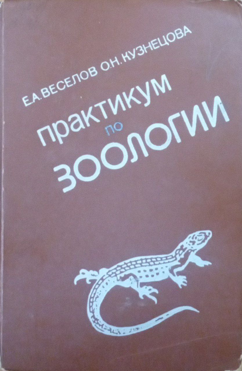 Практикум по зоологии