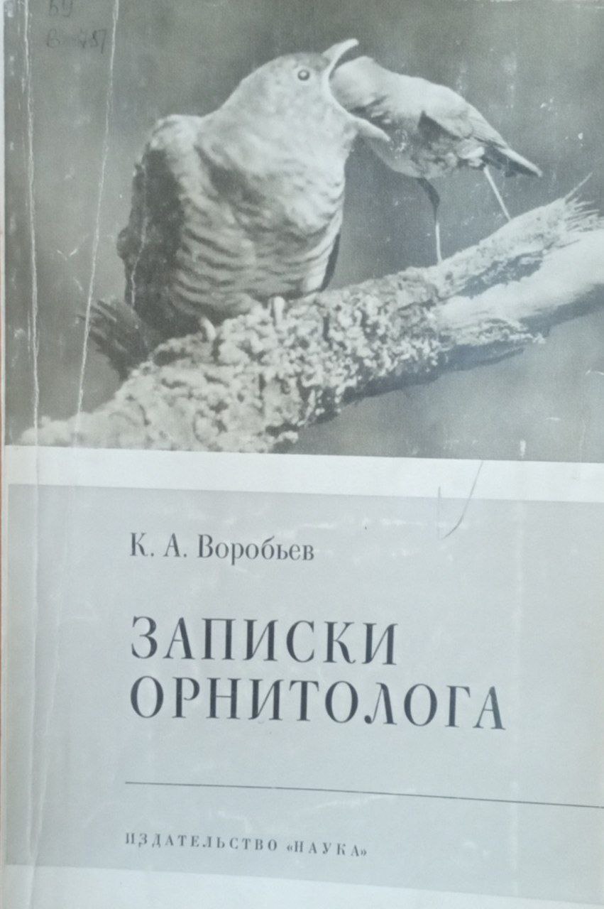 Записки орнитолога