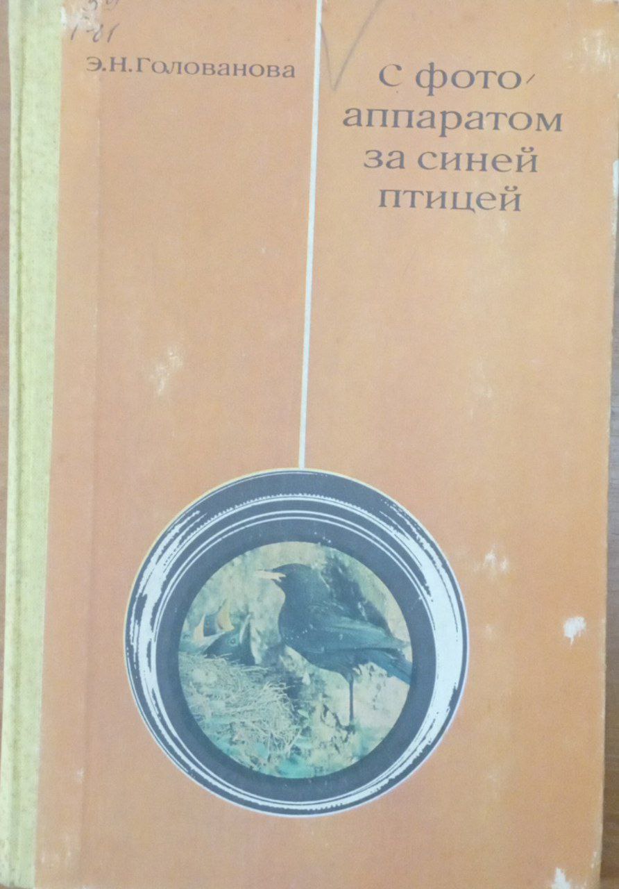 С фотоаппаратом за синей птицей