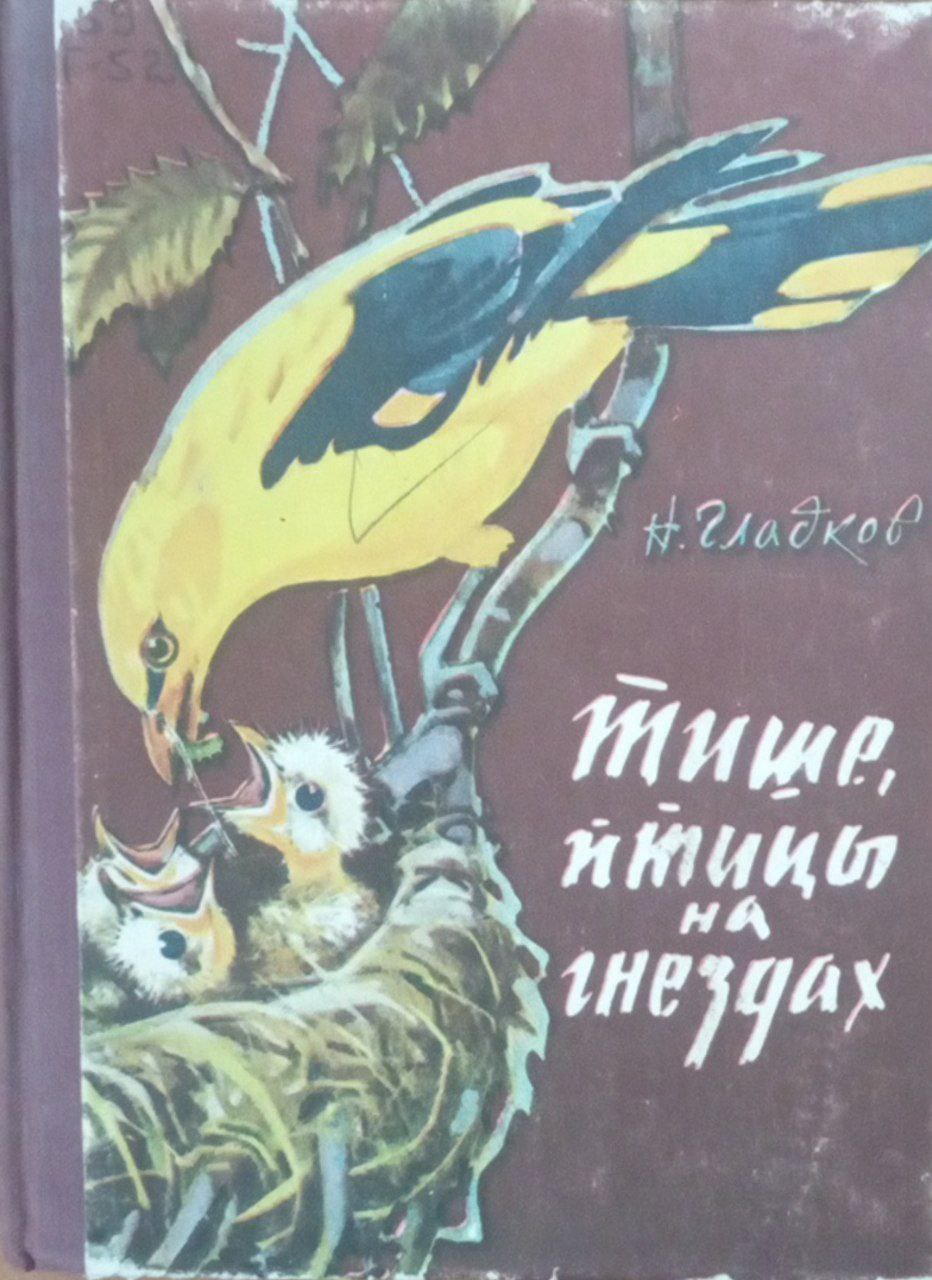 Тише, птицы на гнездах