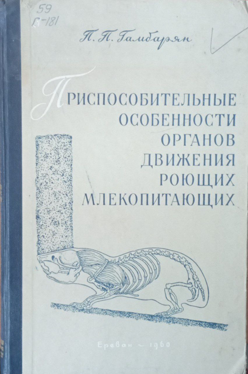 Приспособительные особенности органов движения роющих млекопитающих