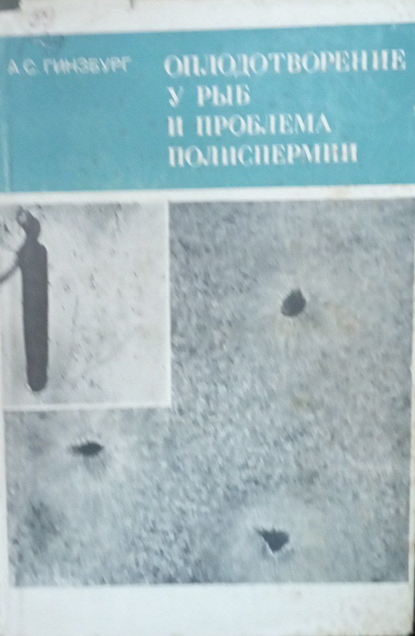 Оплодотворение у рыб и проблема полиспермии