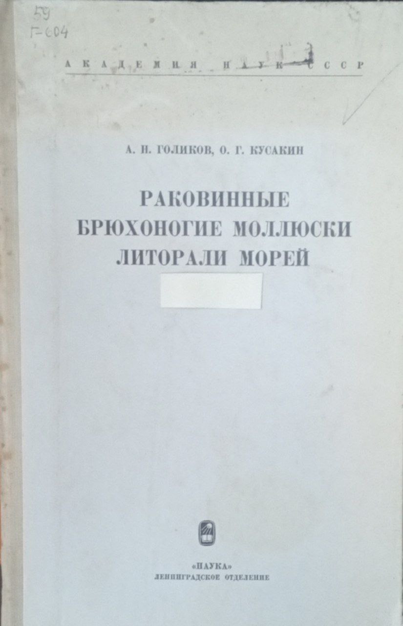 Раковинные брюхоногие моллюски литорали морей