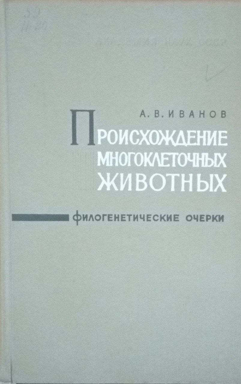 Происхождение многоклеточных животных