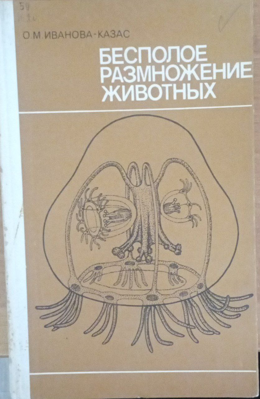 Бесполое размножение животных