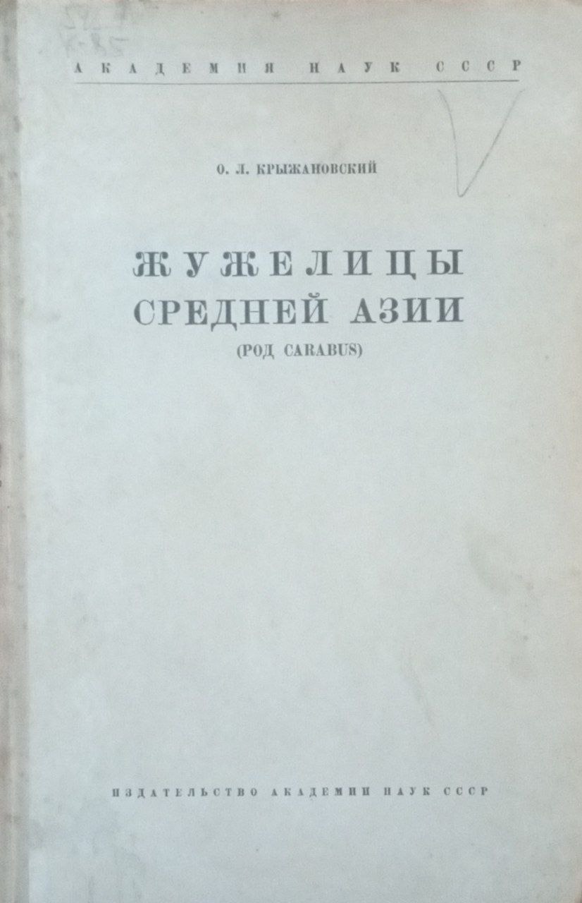 Жужелицы Средней Азии
