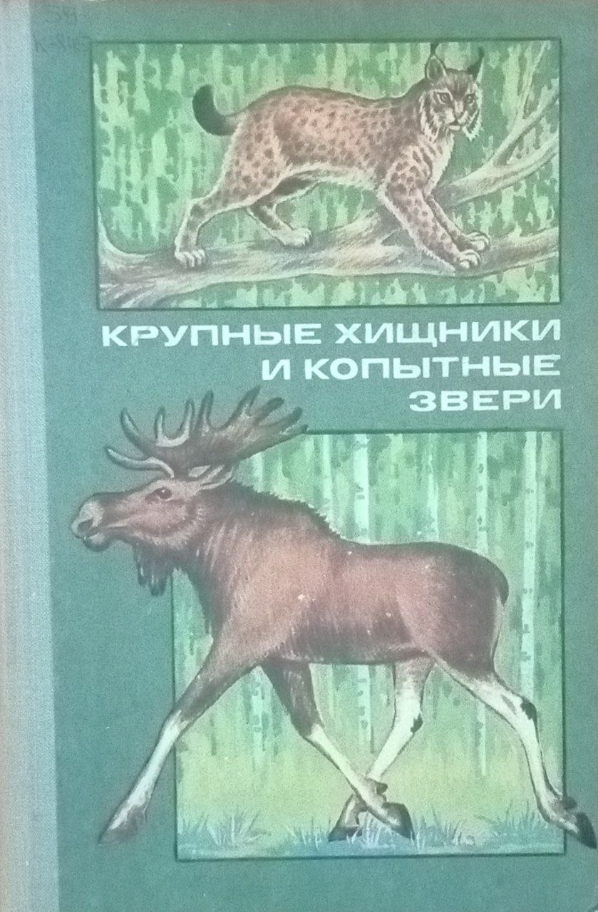 Крупные хищники и копытные звери (лес и его обитатели)