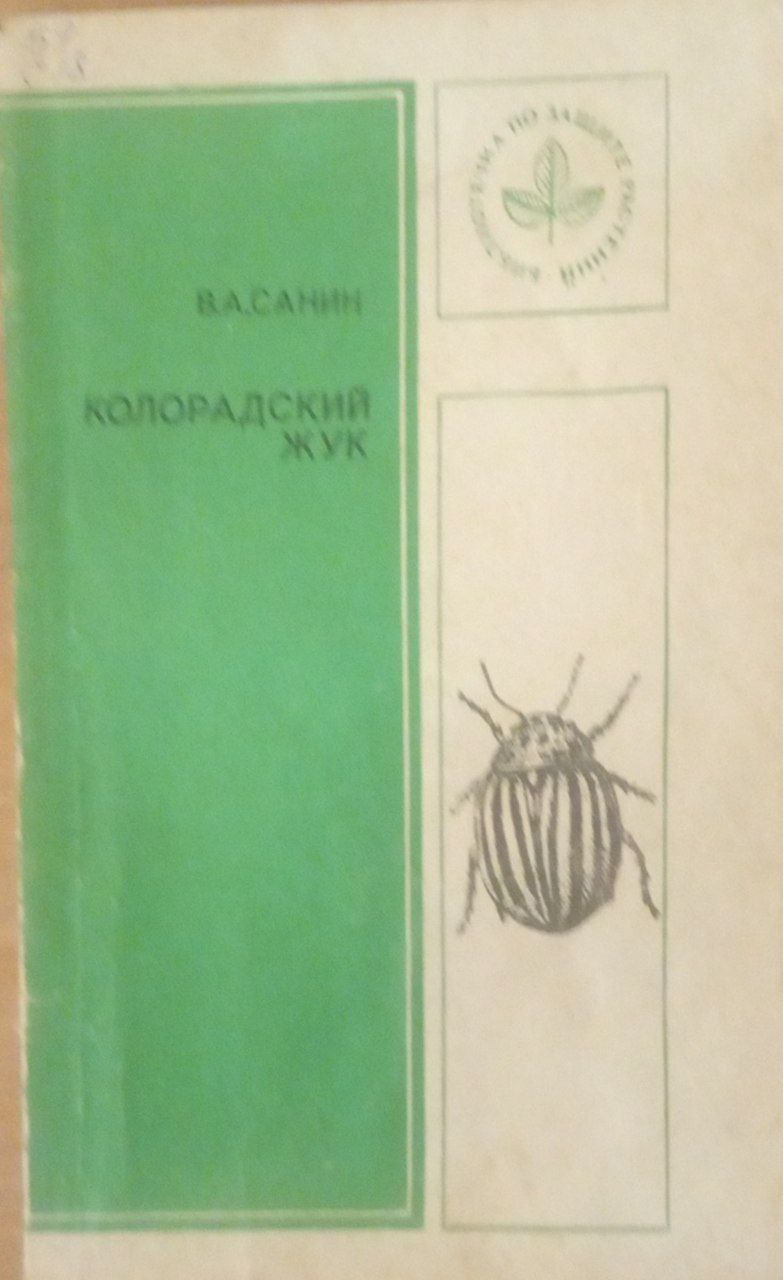 Колорадский жук