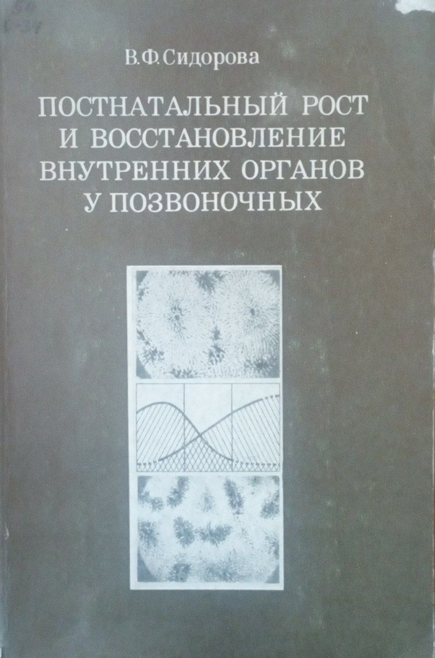 Постнатальный рост и восстановление внутренних органов у позвоночных