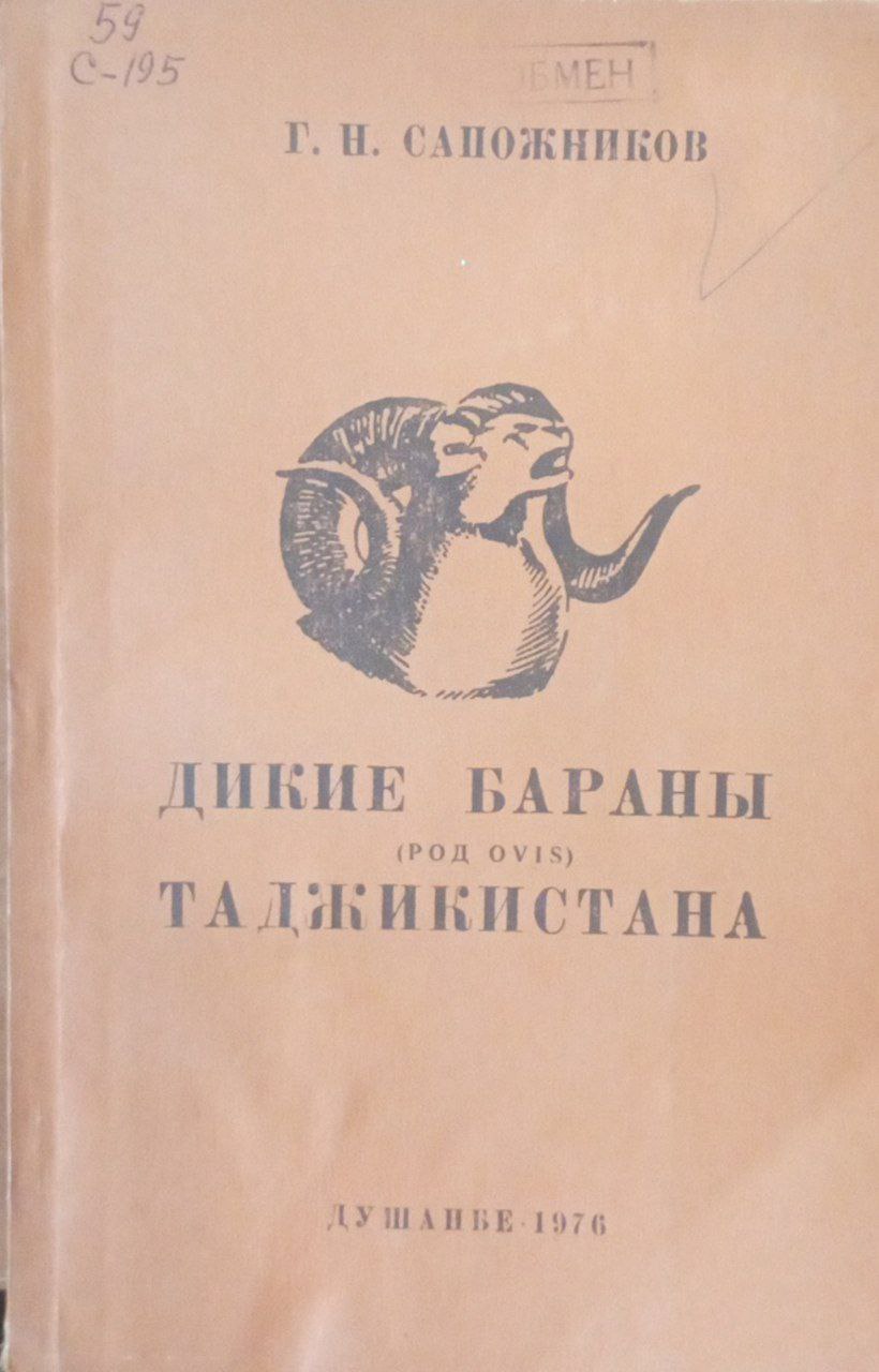 Дикие бараны (Род ovis)Таджикистана