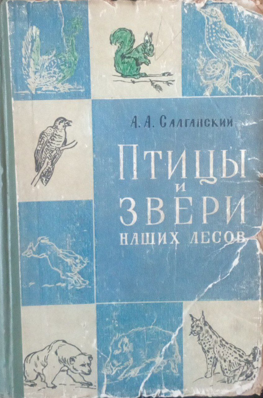 Птицы и звери наших лесов