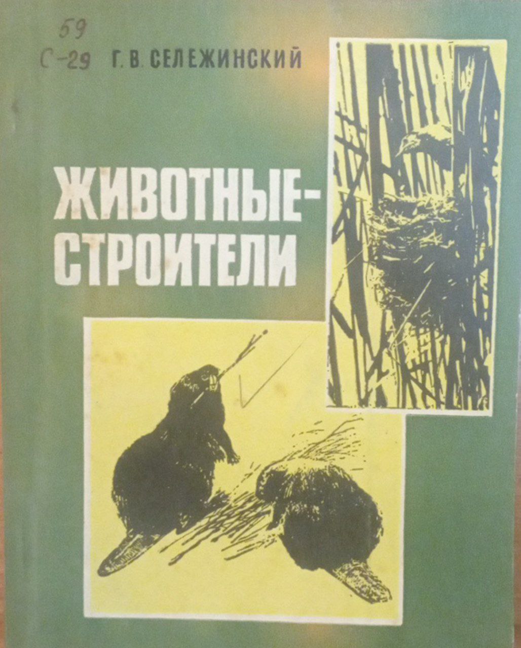 Животные строители