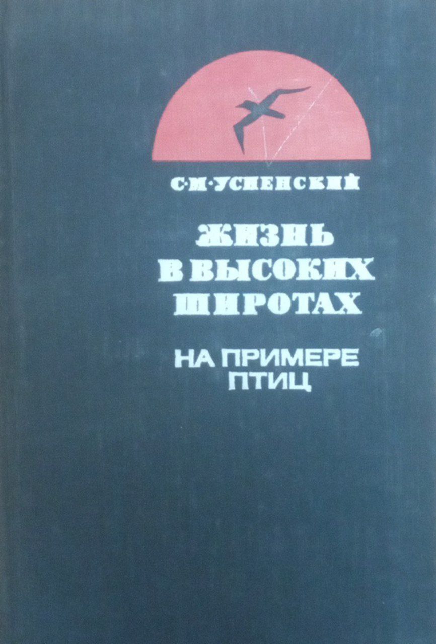 Жизнь в высоких широтах на примере птиц