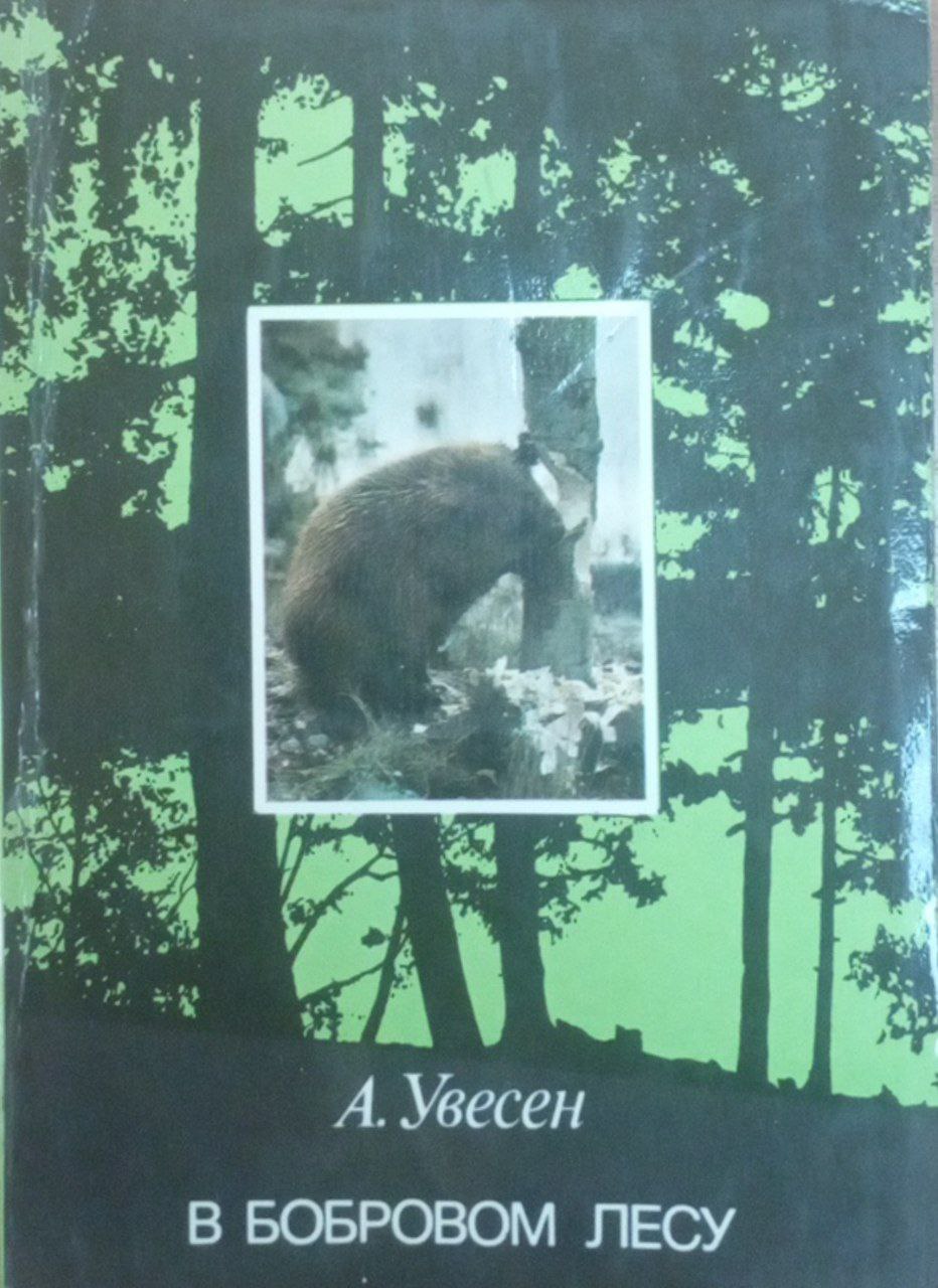 В бобровом лесу