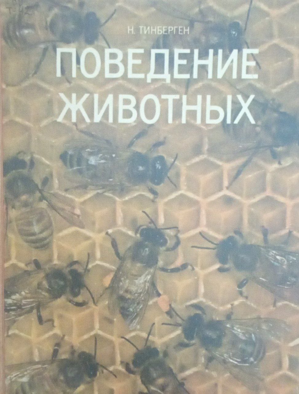 Поведение животных