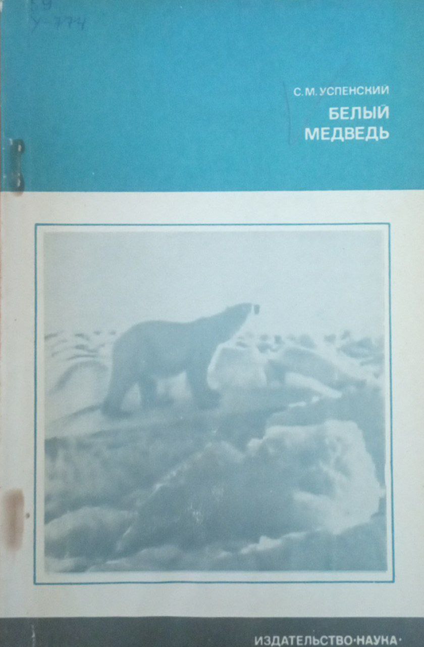 Белый медведь