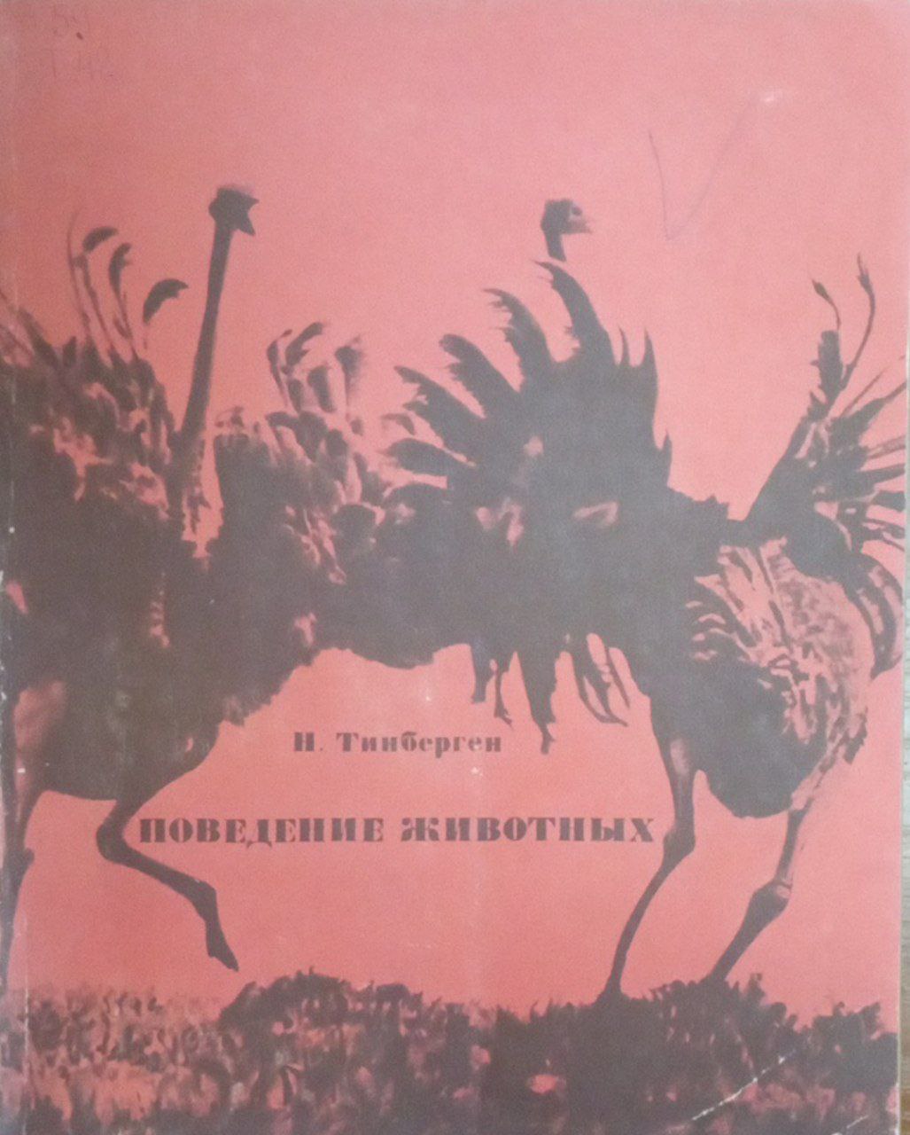 Поведение животных