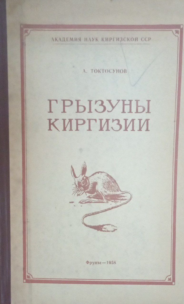 Грызуны Киргизии
