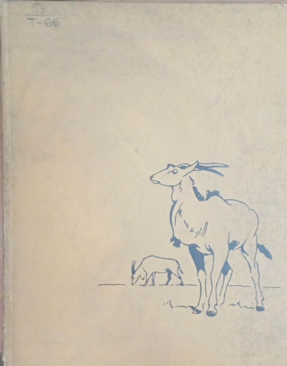 Зоопарк аскания-нова