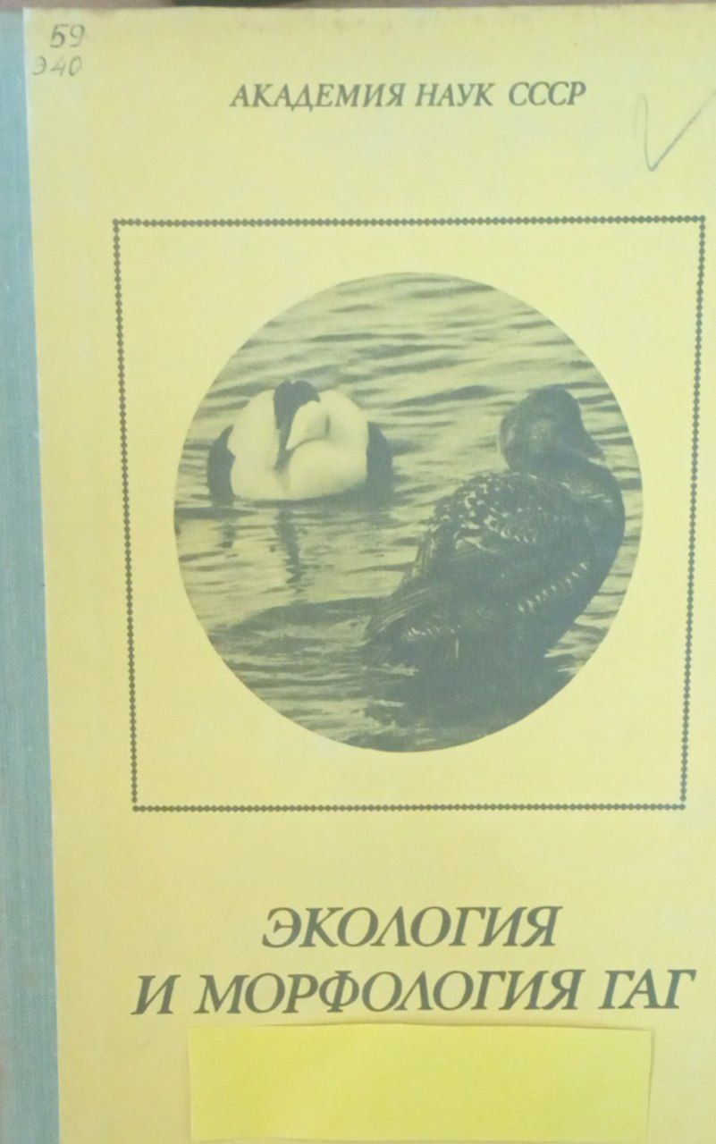 Экология и морфология гаг