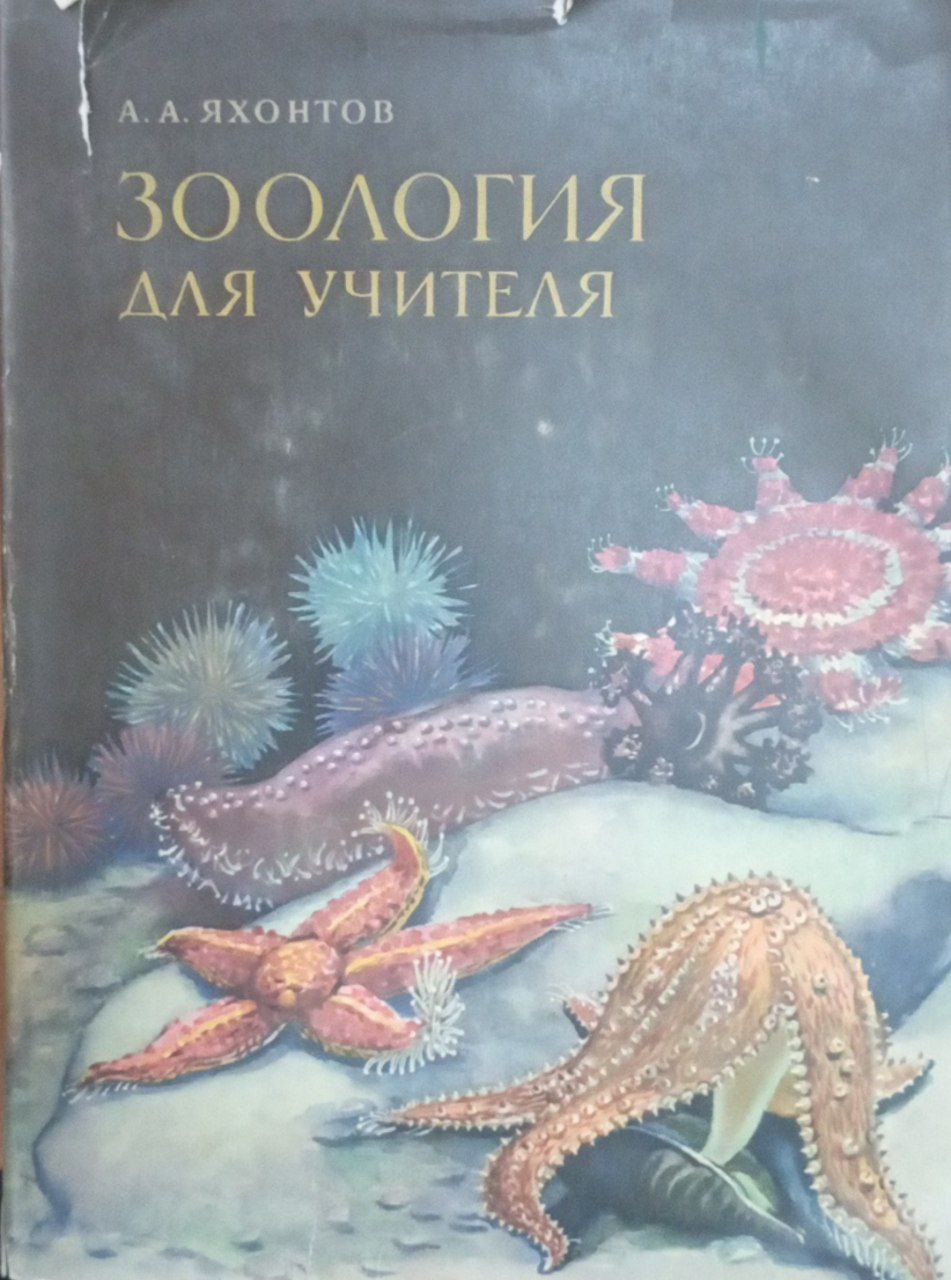 Зоология для учителя