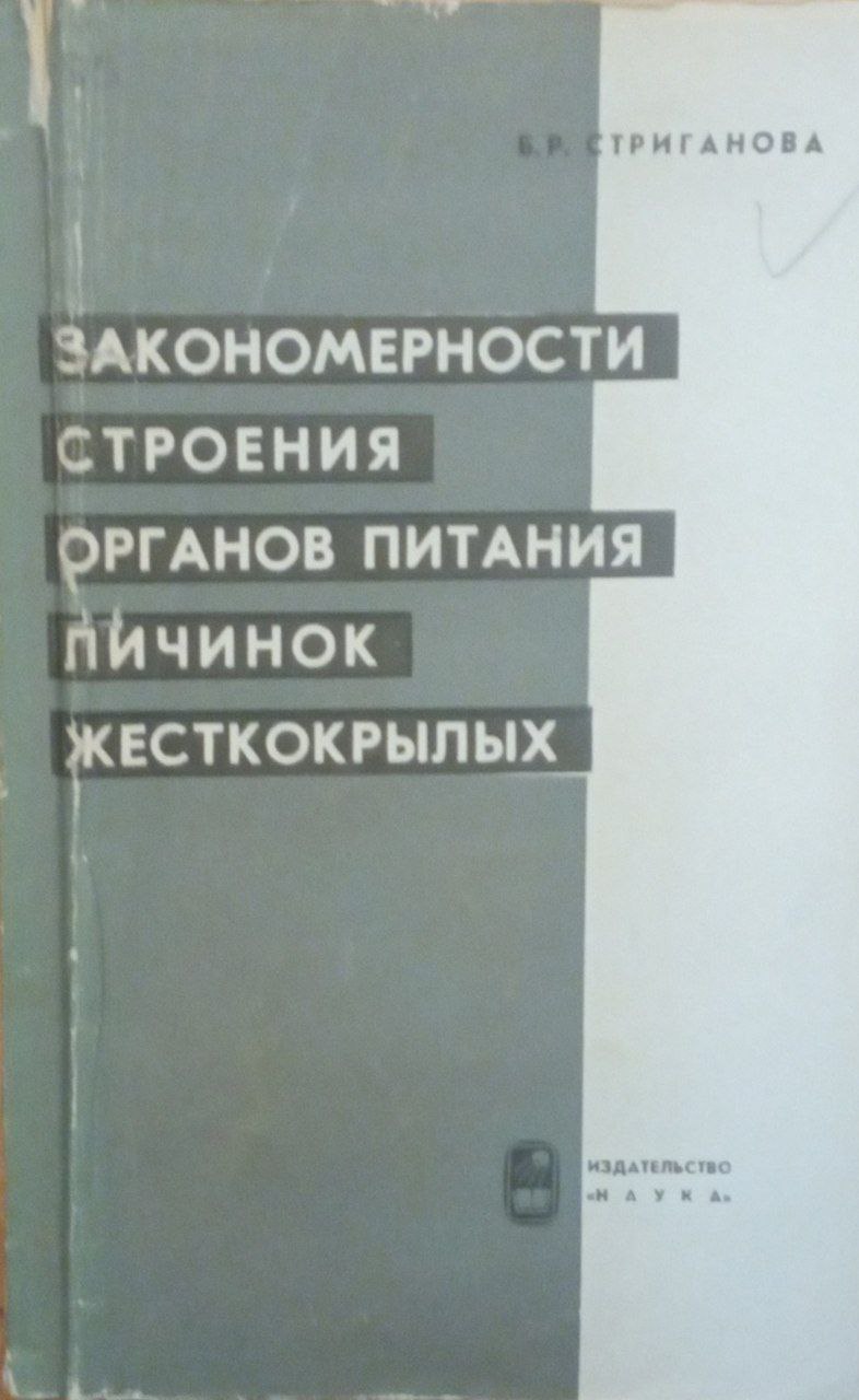 Закономерности строения органов питания личинок жесткокрылых