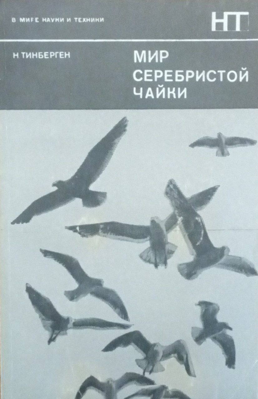 Мир серебристой чайки