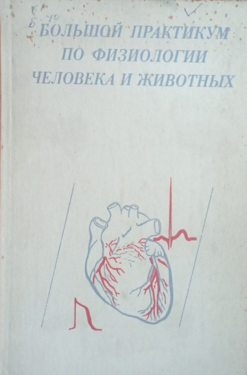 Большой практикум по физиологии человека и животных