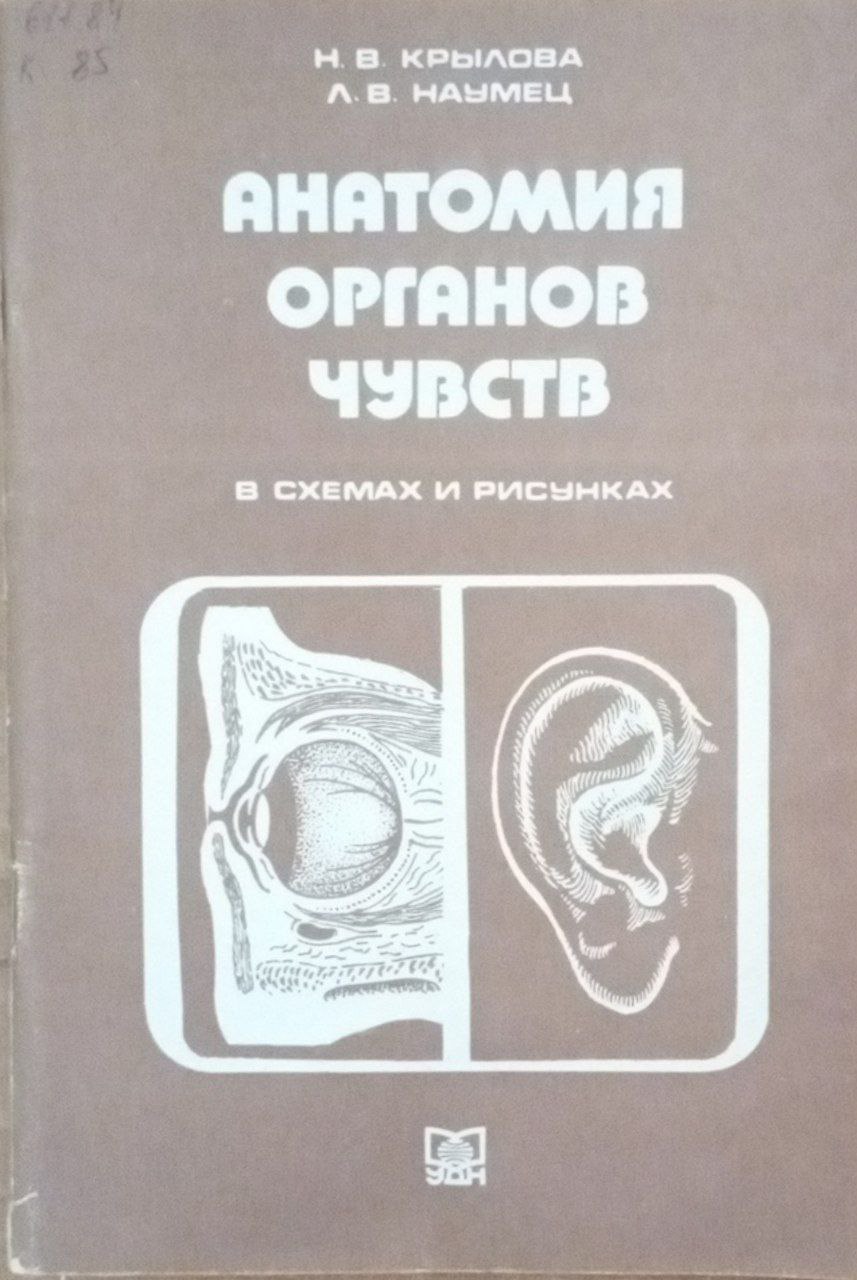 Анатомия органов чувств (в схемах и рисунках)