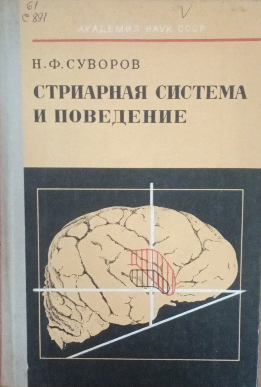 Стриарная система и поведение