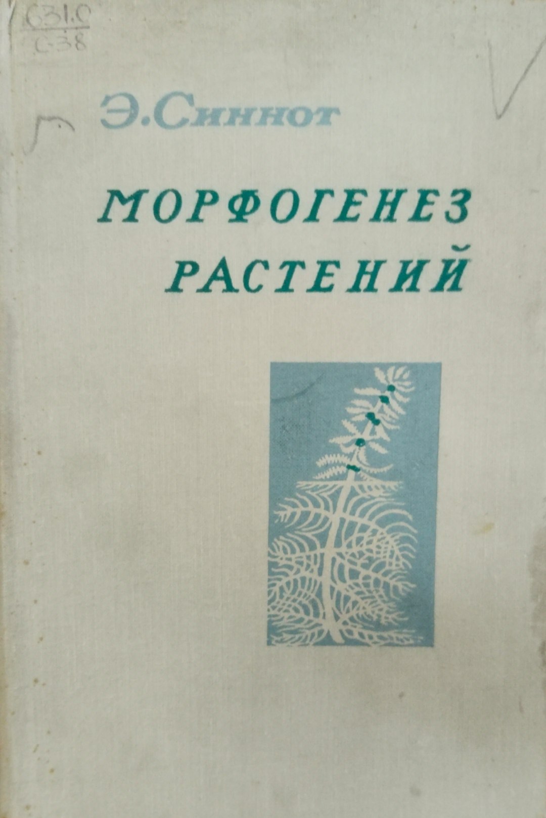 Морфогенез растений