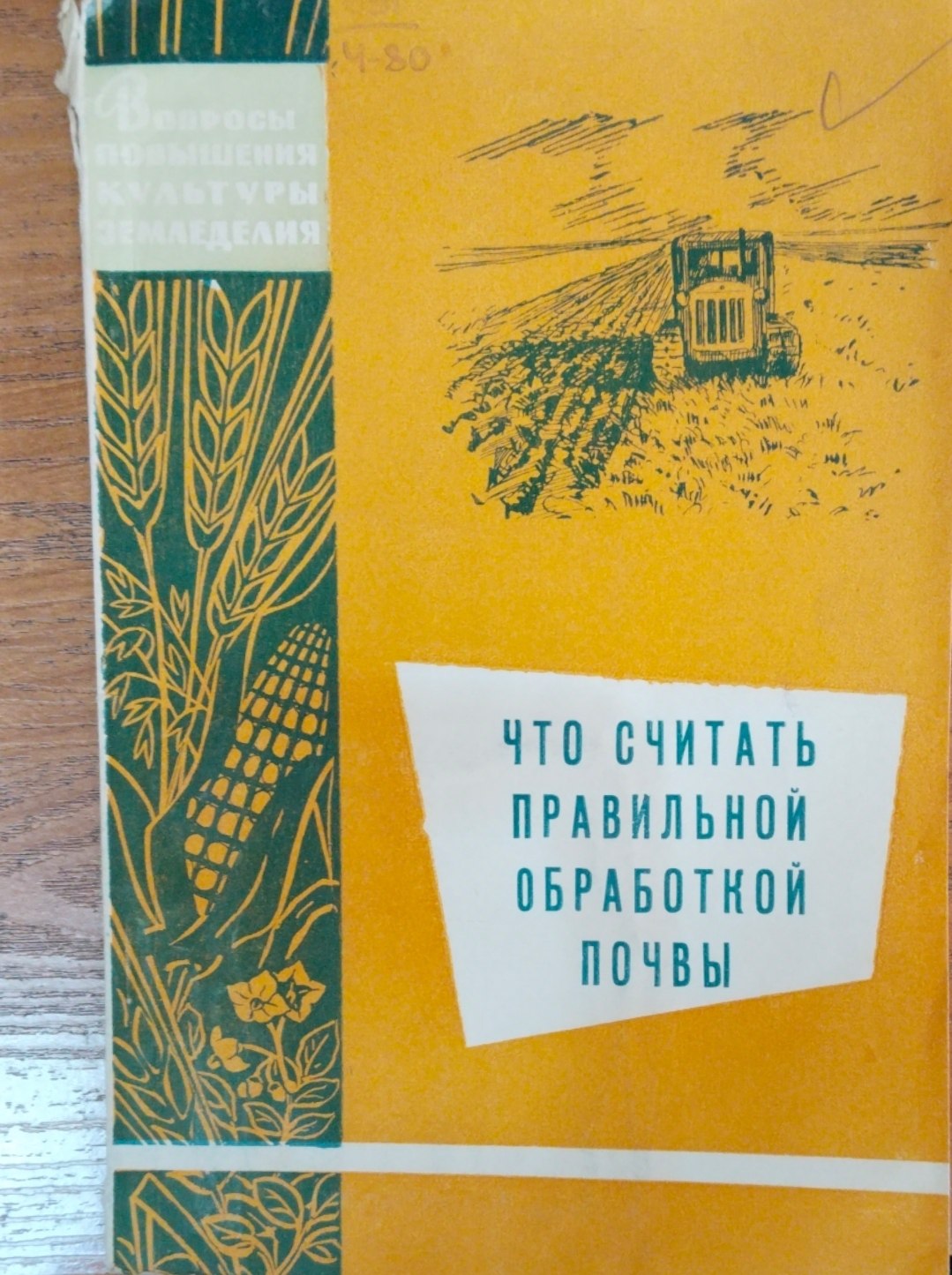 Что считать правильной почвы