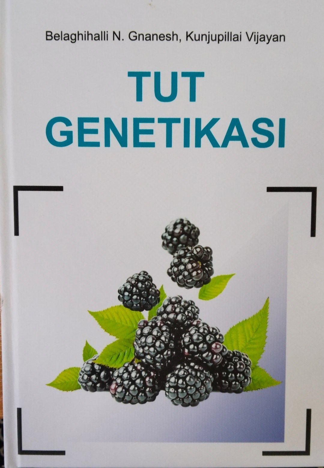 Tut genetikasi