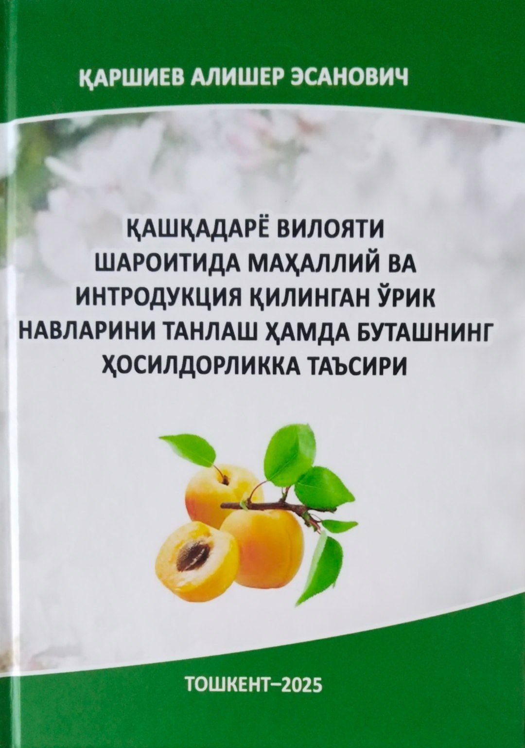 Қашқадарё вилояти шароитида маҳаллий ва интродукция қилинган ўрик навларини танлаш ҳамда буташнинг ҳосилдорликка таъсири