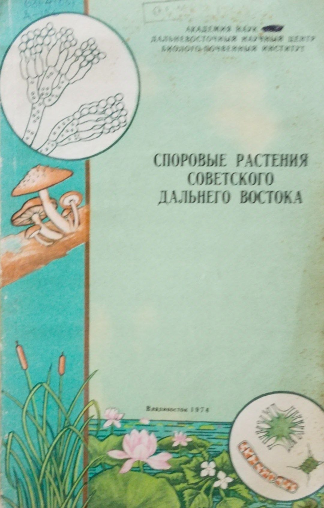 Споровые растения советского Дальнего Востока