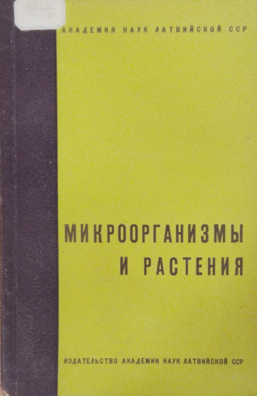 Микроорганизмы и растения