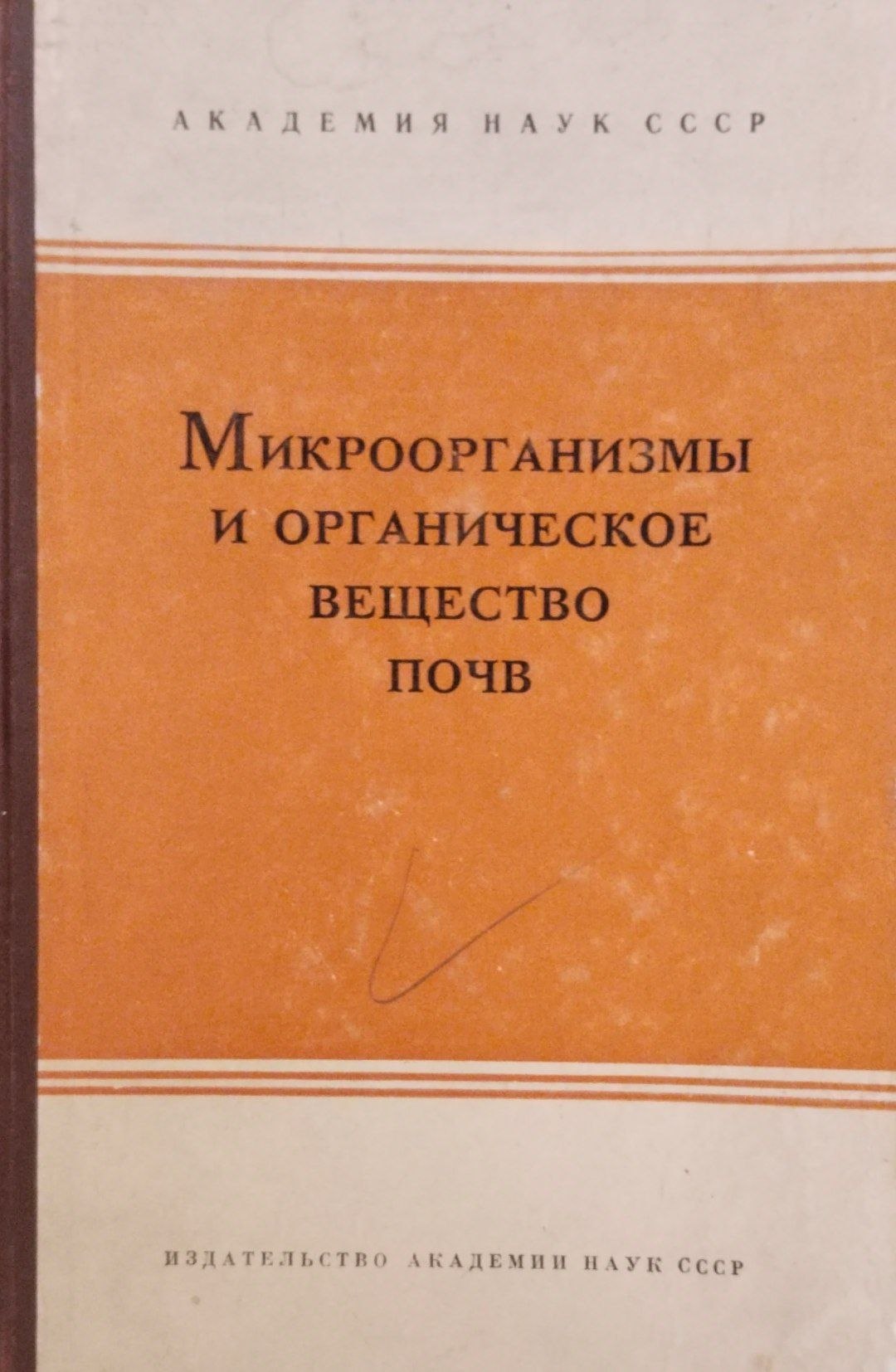 Микроорганизмы и органическое вещество почв