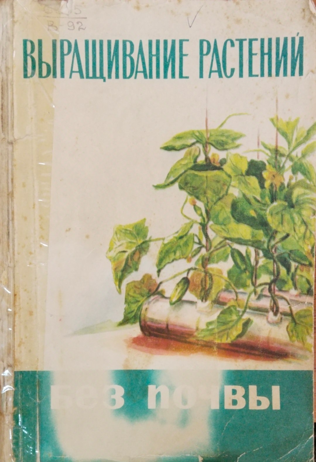 Выращивание растений без почвы