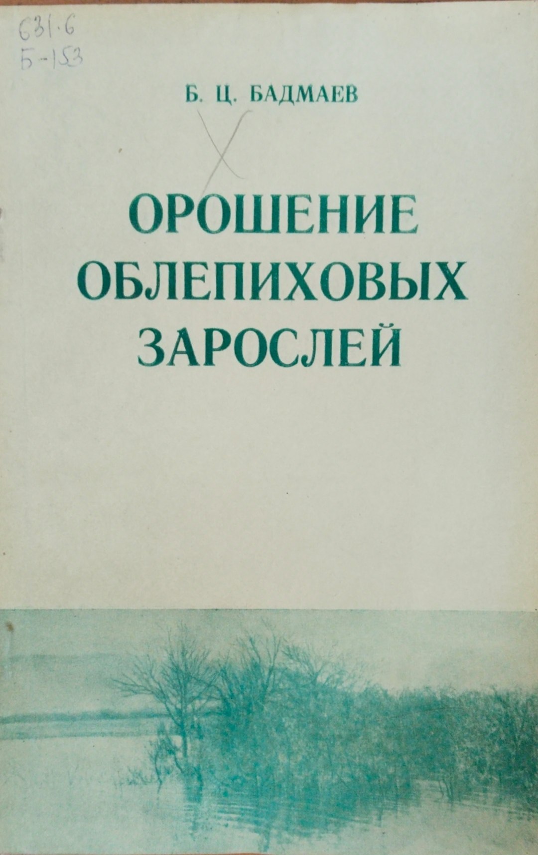 Орошение облепиховых зарослей